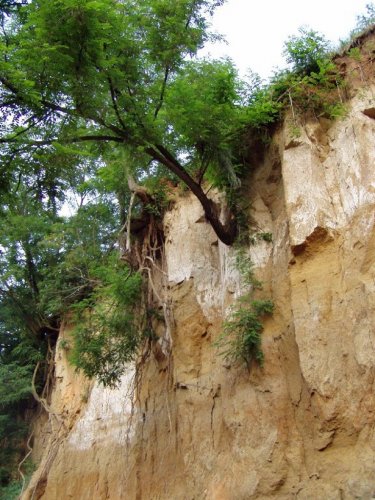 Přírodní památka Olšava - 30.8.2006